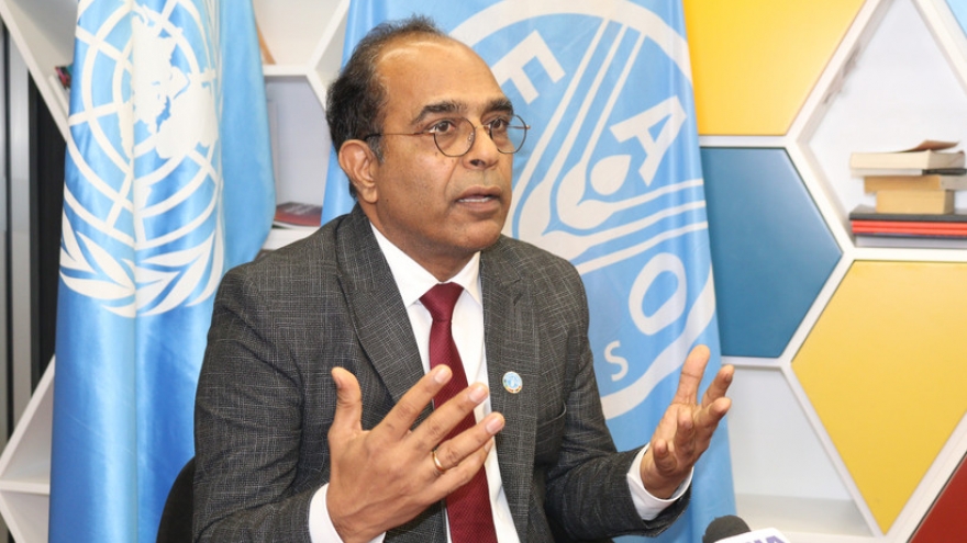 FAO Representative hails Vietnam’s progress in sustainable agriculture